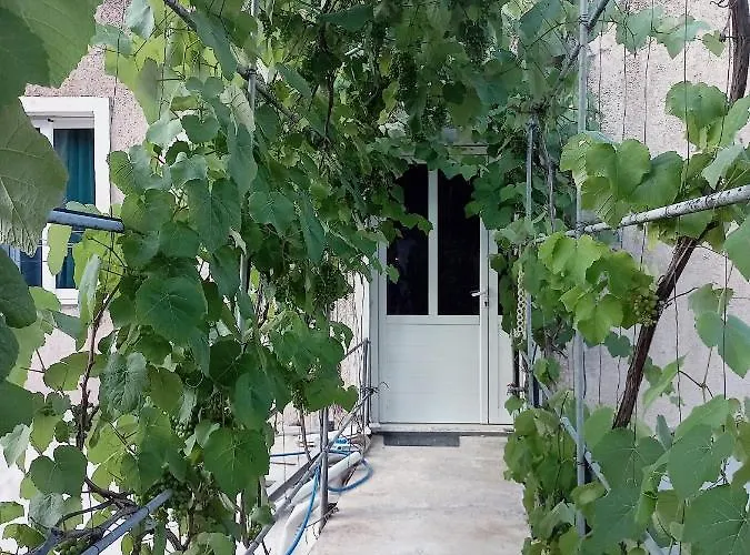 Sotiri * Saranda
